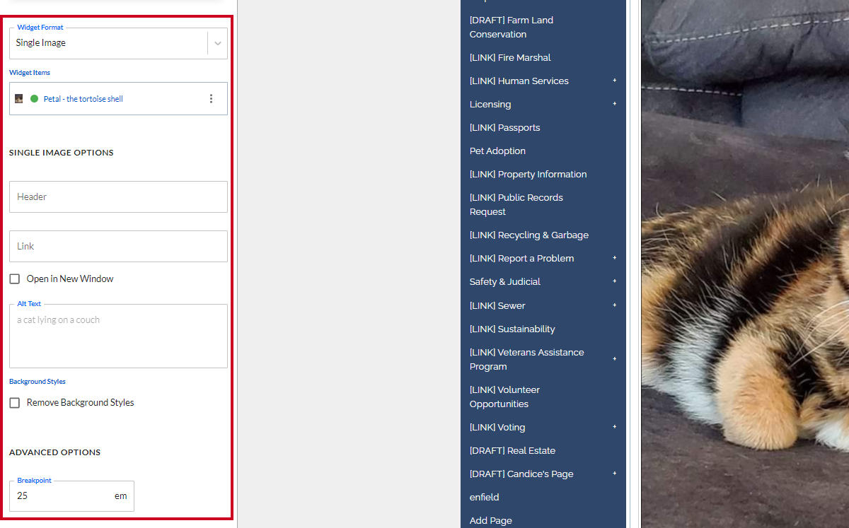 The dropdown menus and text entry fields in the Widget Options menu on the left-hand side of the page.