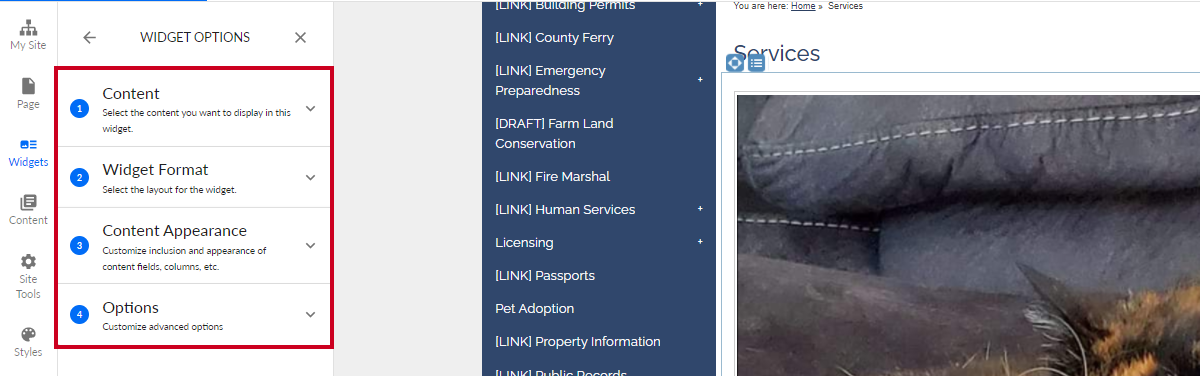 image options