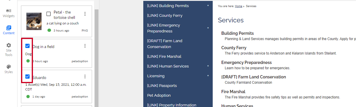 The checkboxes to the left of the content name.