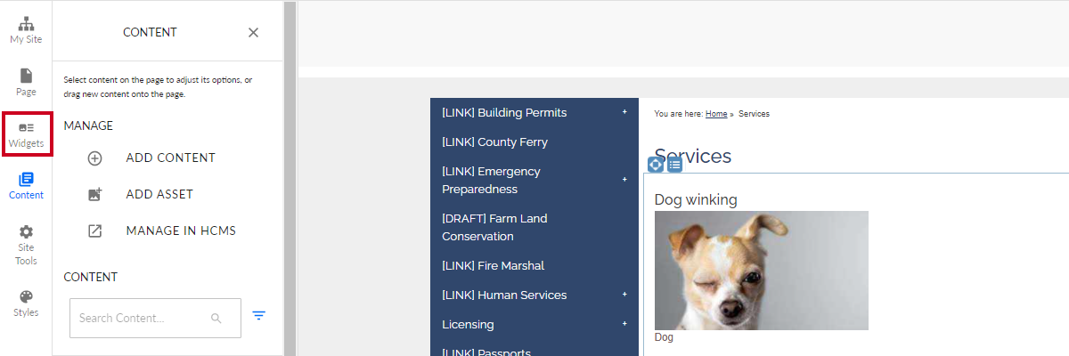 The widgets button in the vertical menu on the left-hand side of the page.