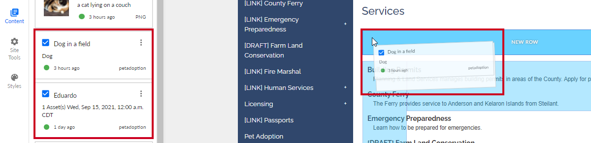The selected content dragged and dropped on the page.