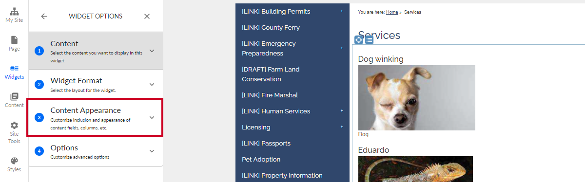 The tab labeled Content Appearance.