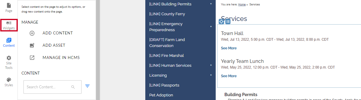 The button labeled Widgets in the vertical list on the left-hand side of the page.