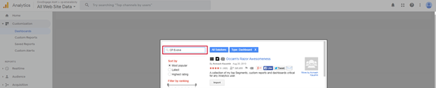 Google Analytics, Dashboard, Import from Gallery, Search Field CP Evolve Entered.