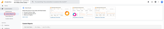 Google Analytics User Home Page Customization Menu Custom Reports Option.