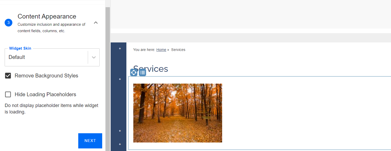 The Widget Skin drop-down menu, and Remove Background Styles and Hide Loading Placeholders checkbox toggles under the Content Appearance header.