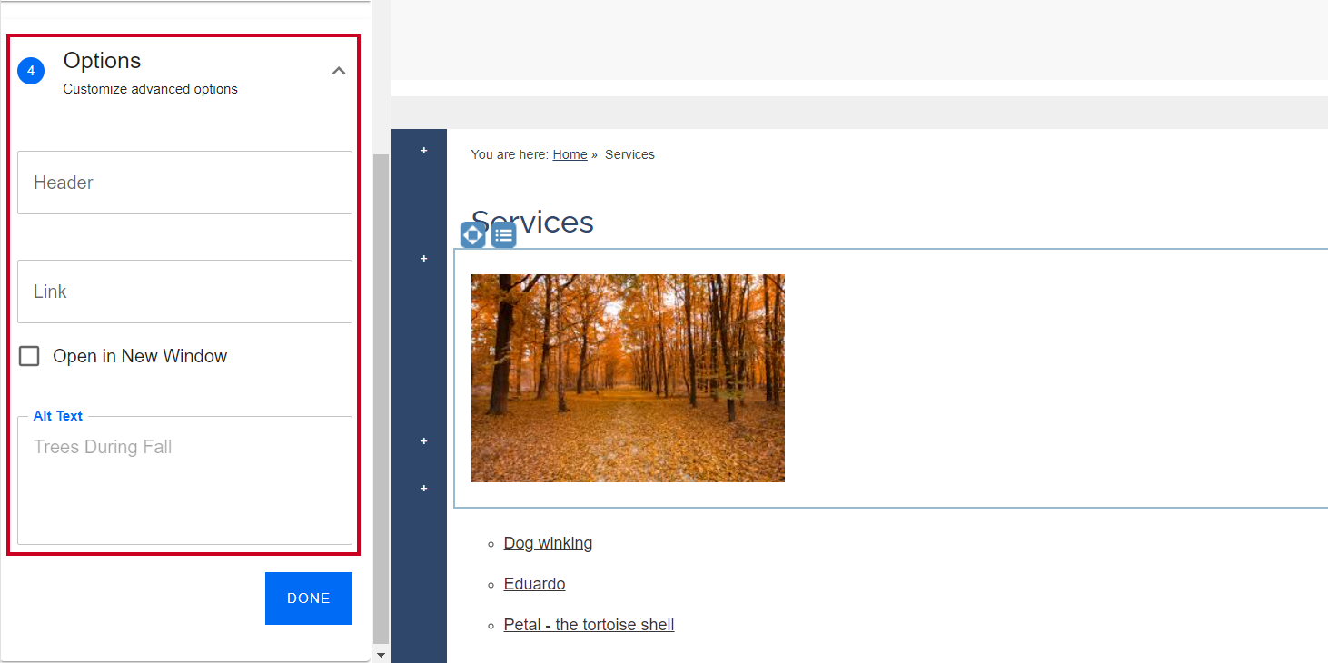 The Header, Link, and Alt Text text entry fields under the Options header.