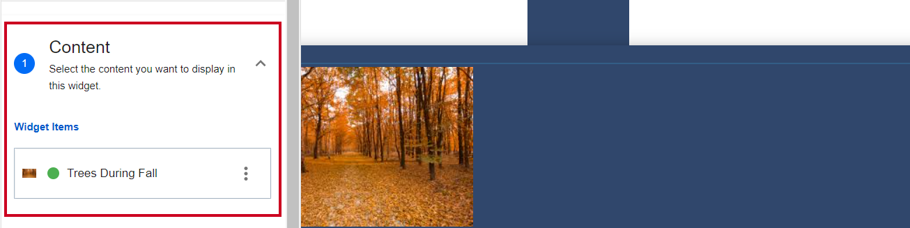 The Widget Items in the Content tab.