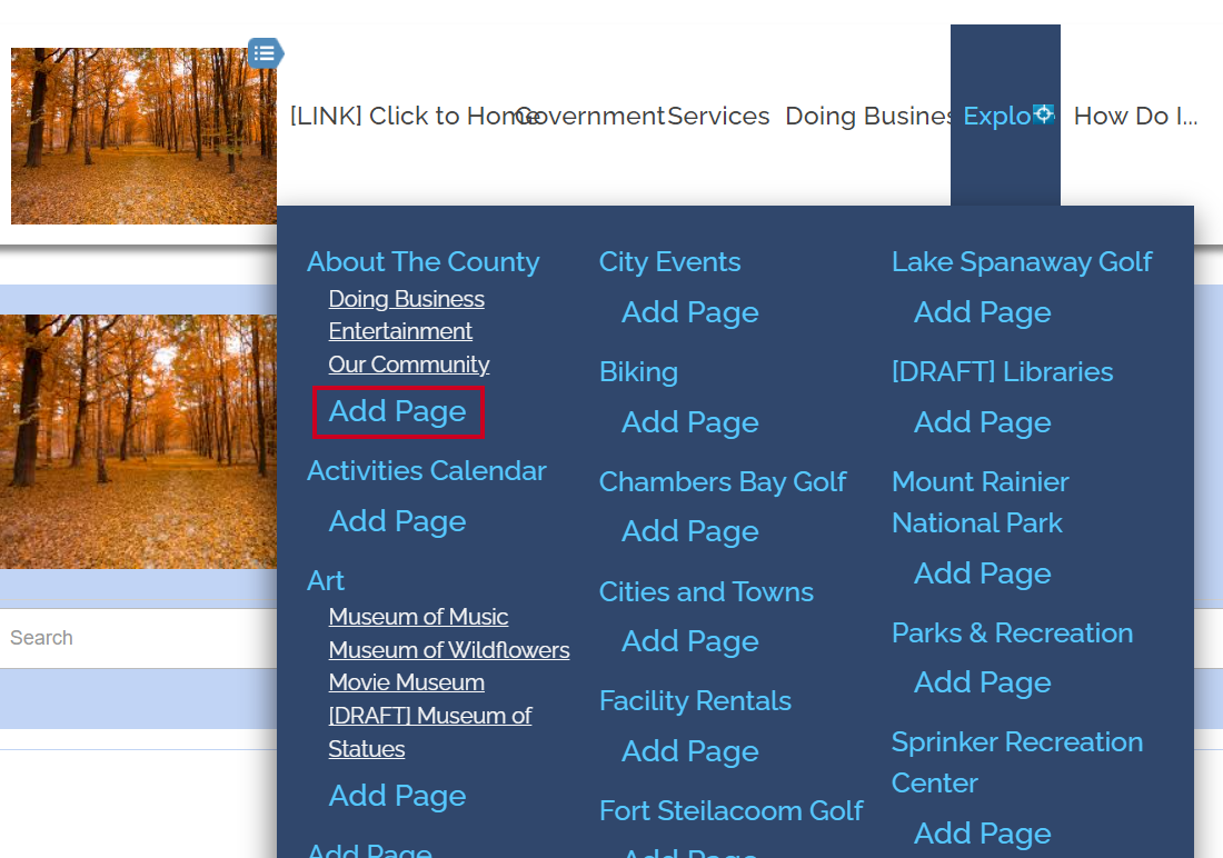 Click Add Page