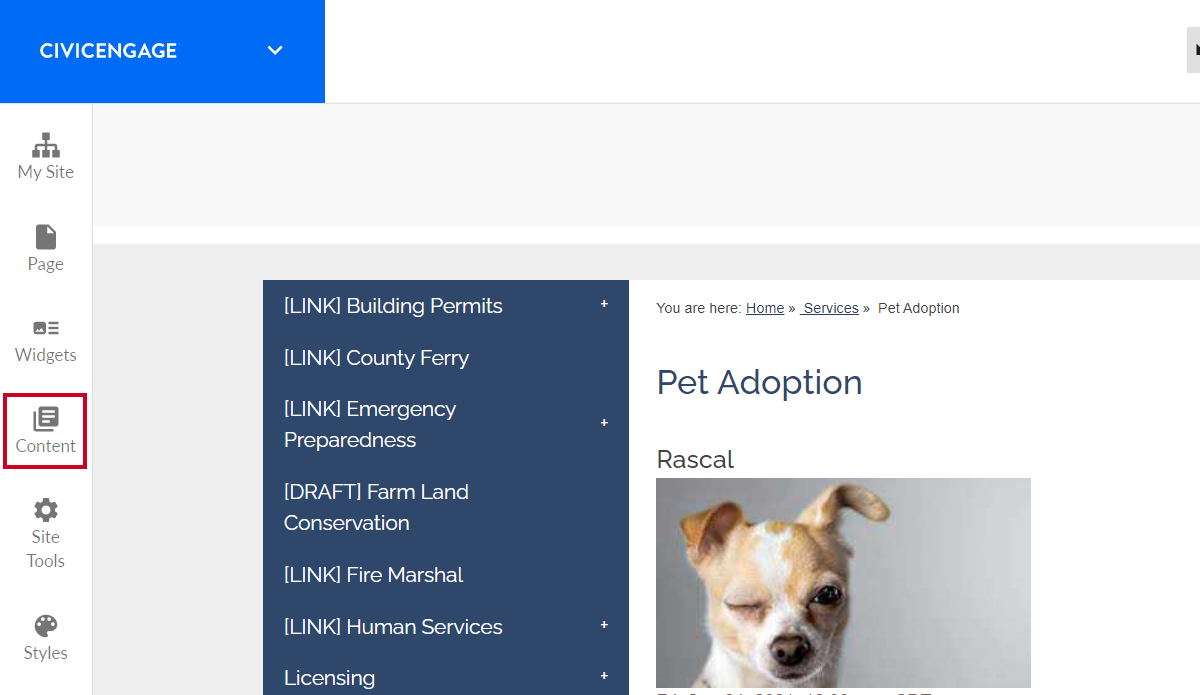The content button located in the vertical menu on the left-hand side of the screen.