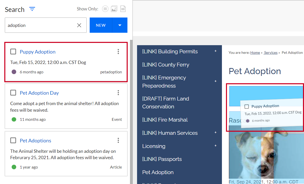 The selected content dragged and dropped onto the page.