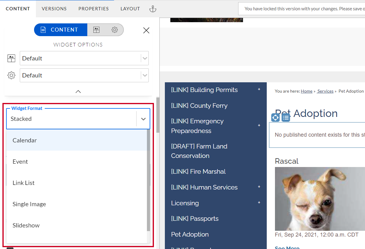 The dropdown labeled Widget Format.