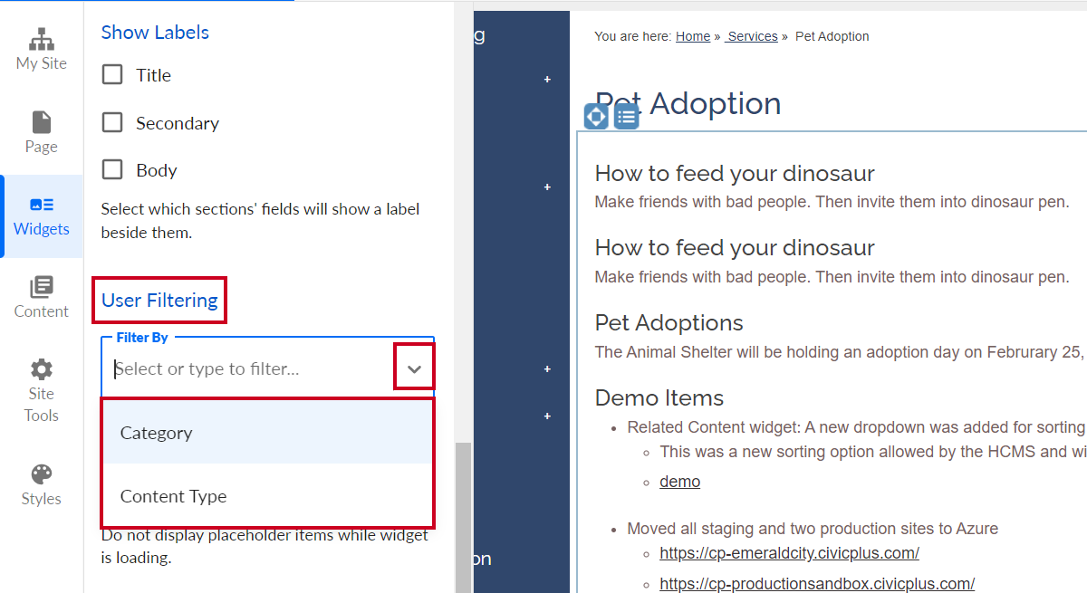 The Category and Content Type options in the Filter By dropdown, under the User Filtering header.