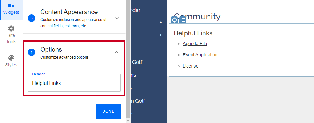 Advanced Options